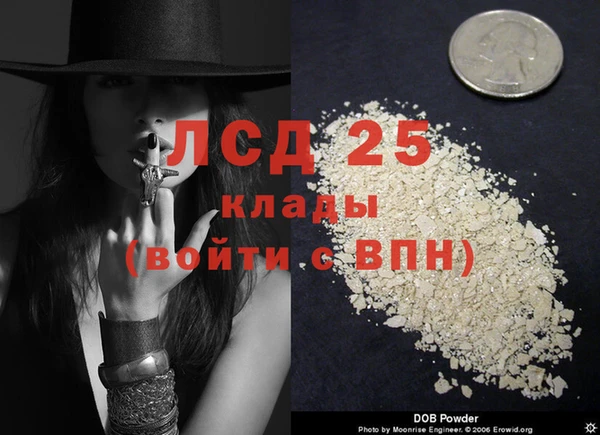 a pvp Дмитров