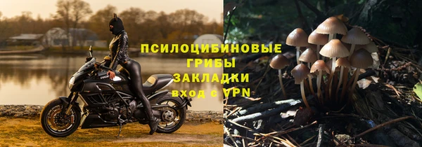 дмт Дмитриев